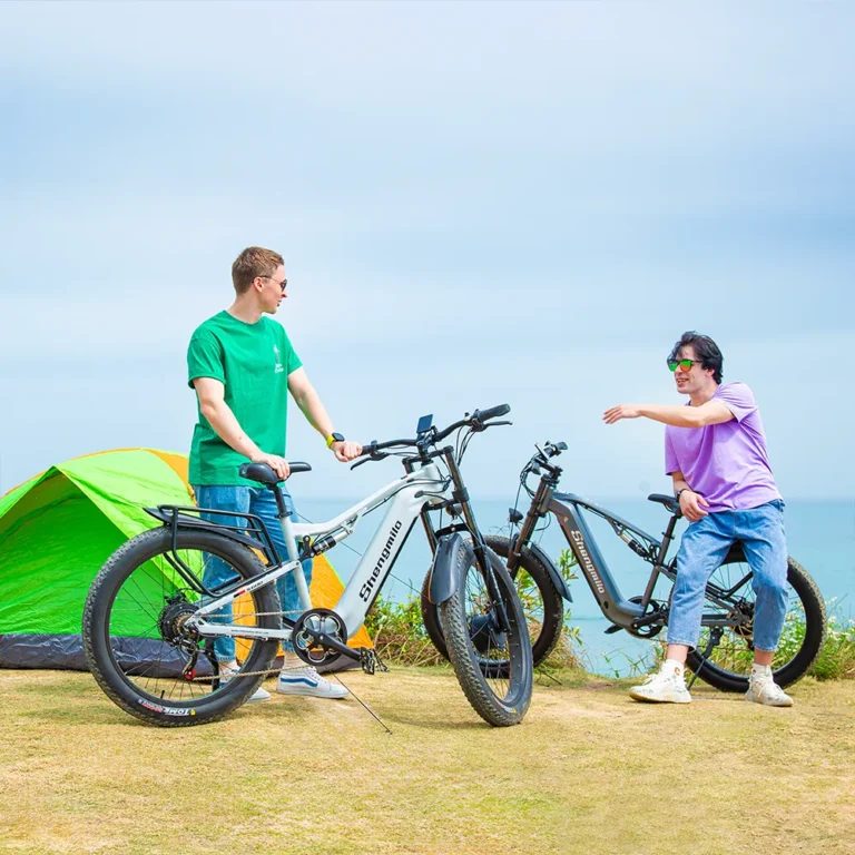 2000W E-Bike Doppelmotor: Warum Allrad-Fatbikes jedes Gelände bezwingen