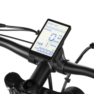 Original Display für Shengmilo E-Bikes MX03 / MX04 / MX05 / MX06 / S26