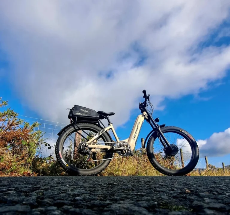 Shengmilo S700 Hardtail E-Bike mit Gepäckträger für Alltag und Wochenendtour in Deutschland